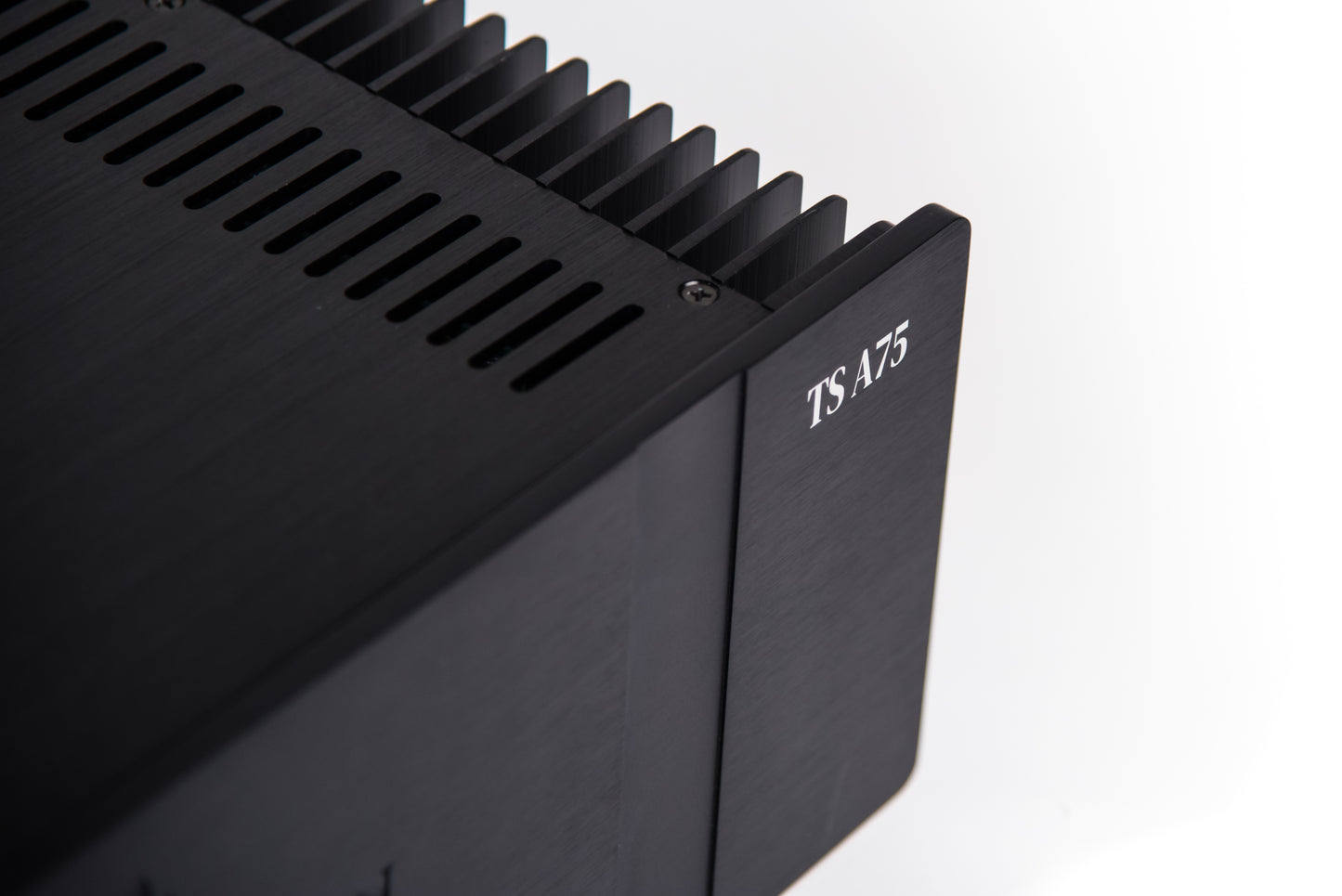 TS A75 Power Amplifier