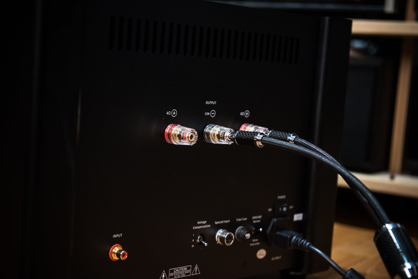 C200 Speaker Cable (A Pair)